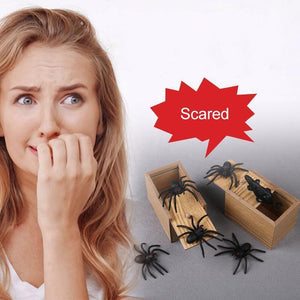 The Epic Spider Prank Box